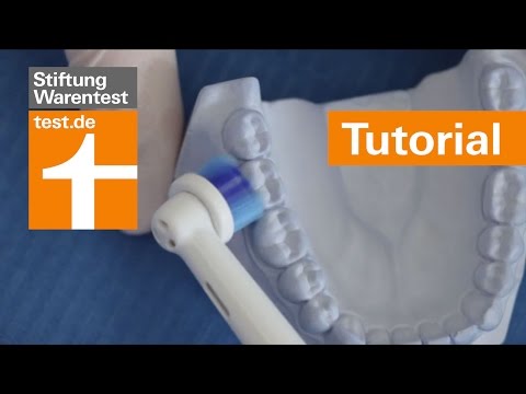 Zahngesundheit gleich Körpergesundheit 1