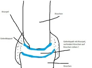 Gelenkspalt