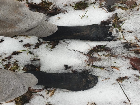 Barfuß Socken Skinners Winter