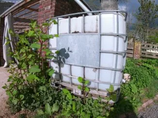 Garten Wasser kostenlos 1 1000-Liter-Regenwasserfass-Garten-Ueberdachung
