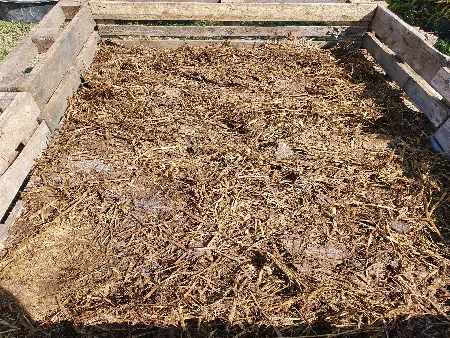 HochbeetmitPferdemistgeduengt GITTE TOUR