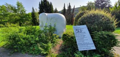 Der weisse Elephant im Kurpark
