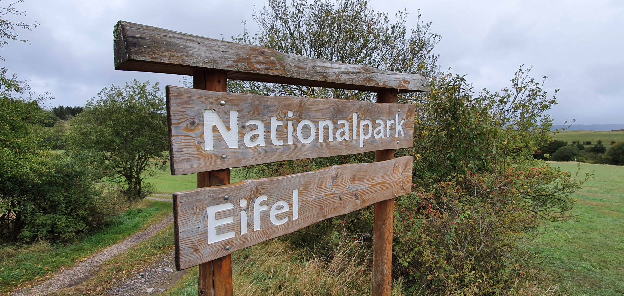 Eifel-Nationalpark hier Truppenübungsplatz Vogelsang