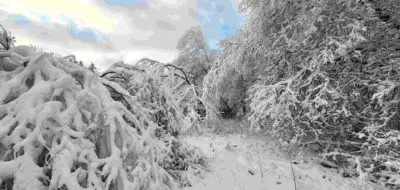 Frost Kälte Schnee Rodeln Eifel Frost Kälte Schnee Rodeln Eifel