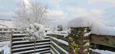 Schnee Januar 2021 in der Eifel Schnee Januar 2021 in der Eifel