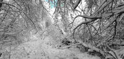 Spazieren Wandern Gehen Eifel Schnee Winter 2021 Spazieren Wandern Gehen Eifel Schnee Winter 2021