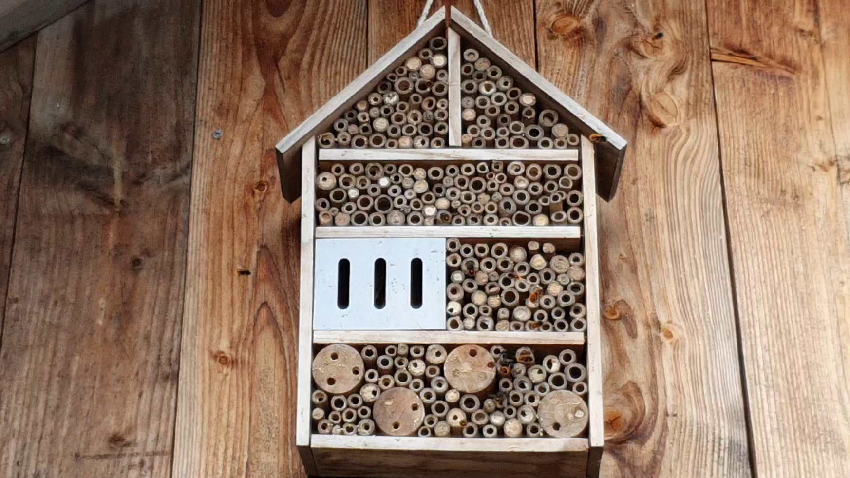 Wildbienen Bienenhaus an Fassade 2021