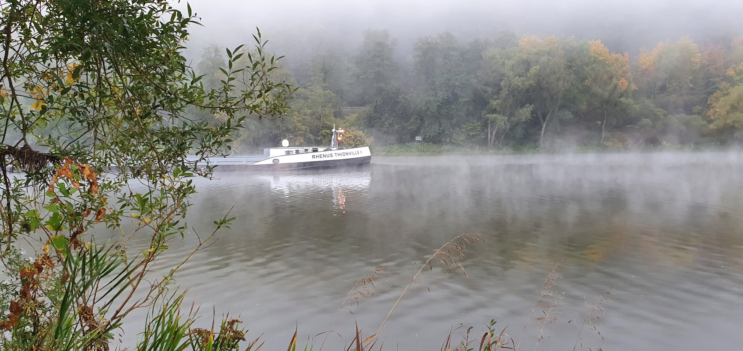 Mosel im Herbst Nebel Schiff Zell Mosel im Herbst Nebel Schiff Zell