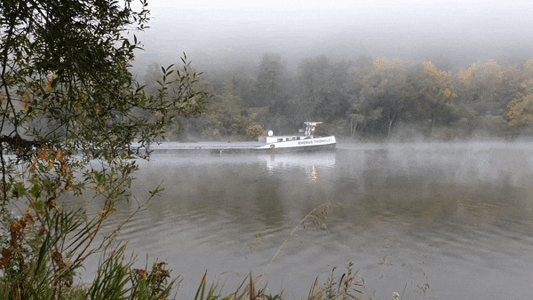 Zell Mosel Wohnmobilstellplatz Römerquelle. Kostenlos möglich! 2 Moselschiff im Herbst Nebel GIF