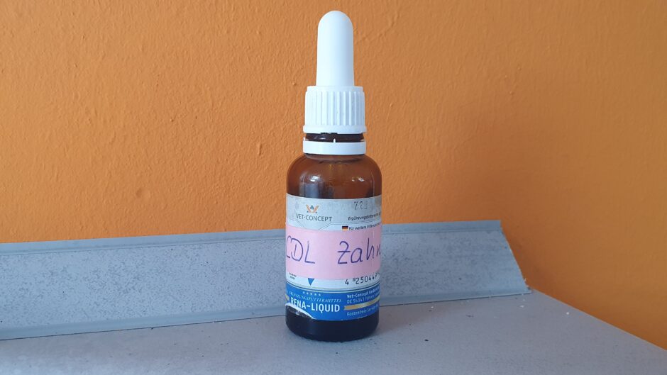 Zahnfleisch Entzündung Hund