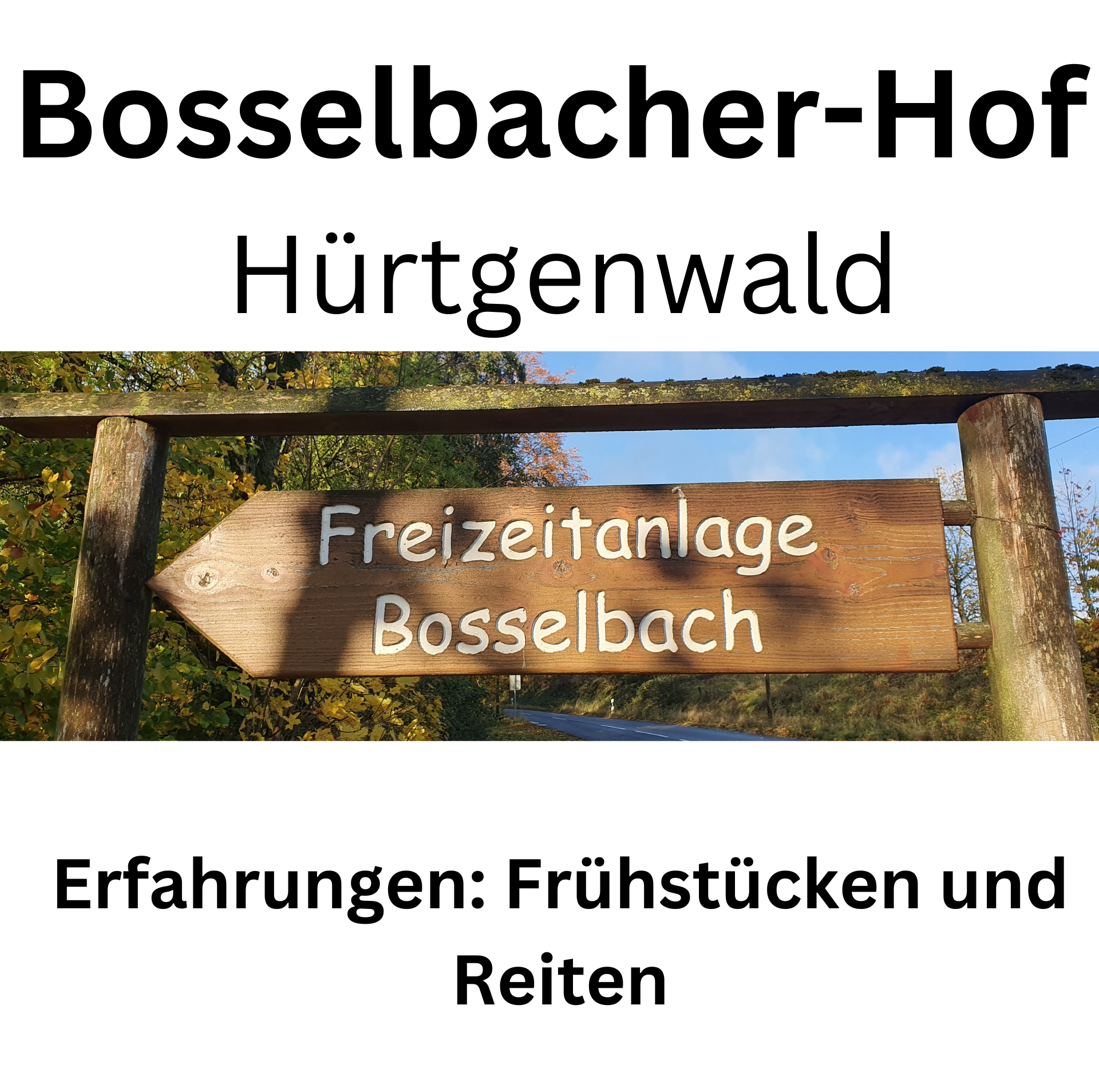 Bosselbacher-Hof Hürtgenwald Reiterhof Ferienhof Erfahrungen