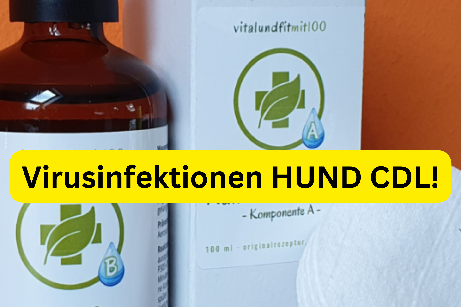 Virusinfektionen Hund CDL Behandlung